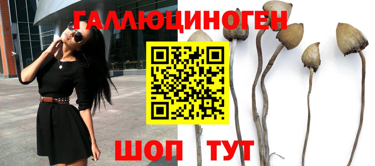Ухта  Галлюциногенные грибы MAGIC MUSHROOMS  Вход с VPN 